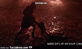 gif animata