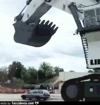 gif animata