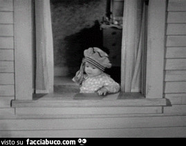 gif animata