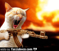 gif animata