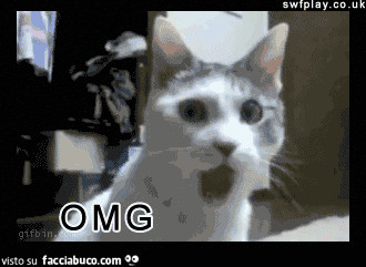 gif animata