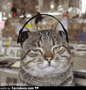 gif animata